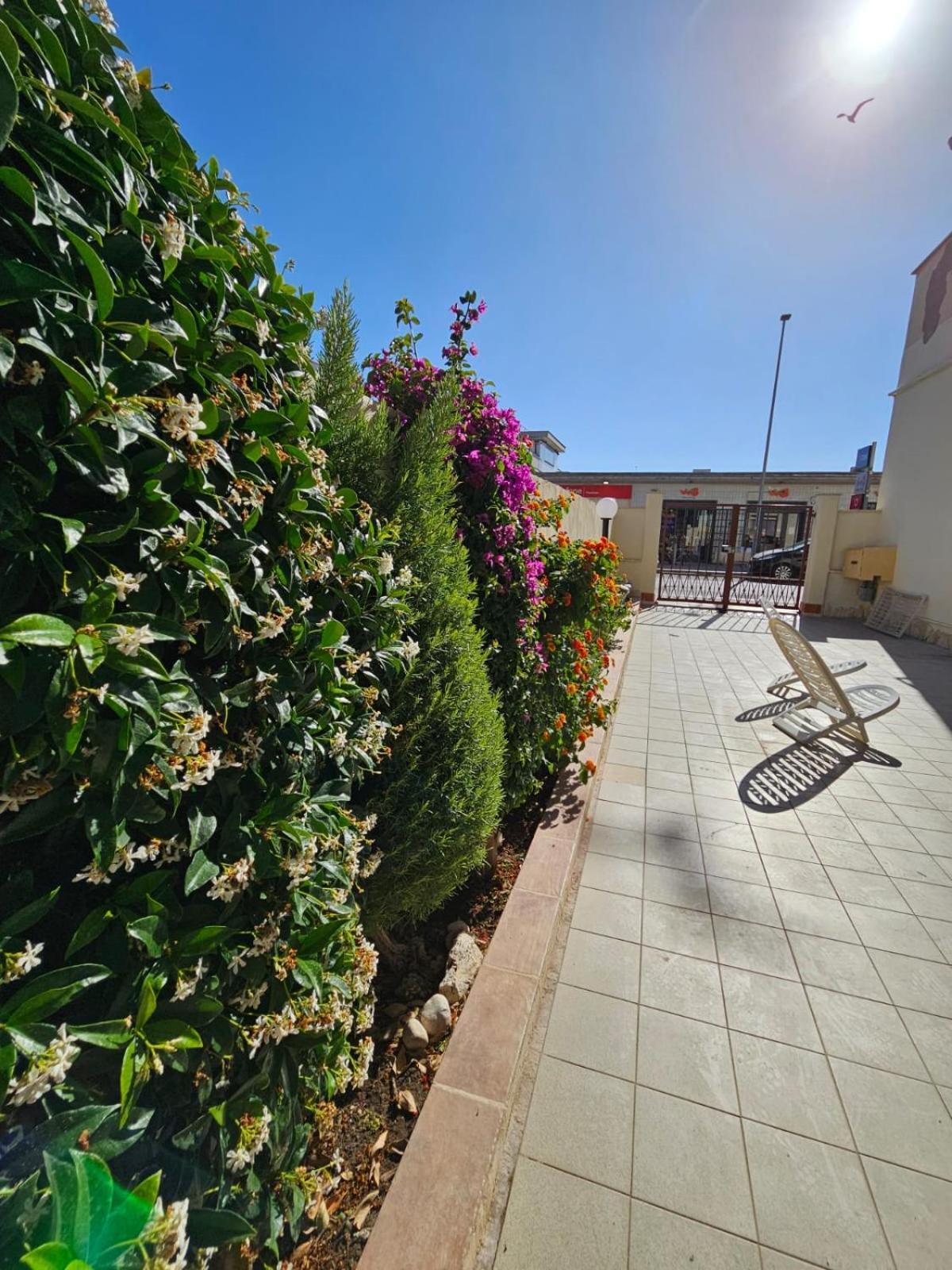 Bebo House Fiumicino Appartement Buitenkant foto